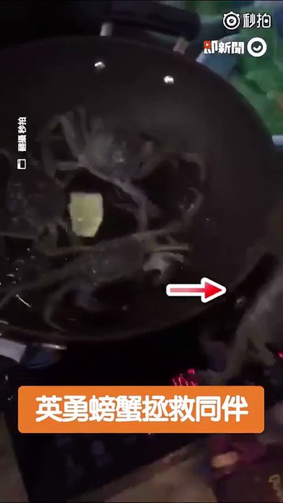 看更多：
