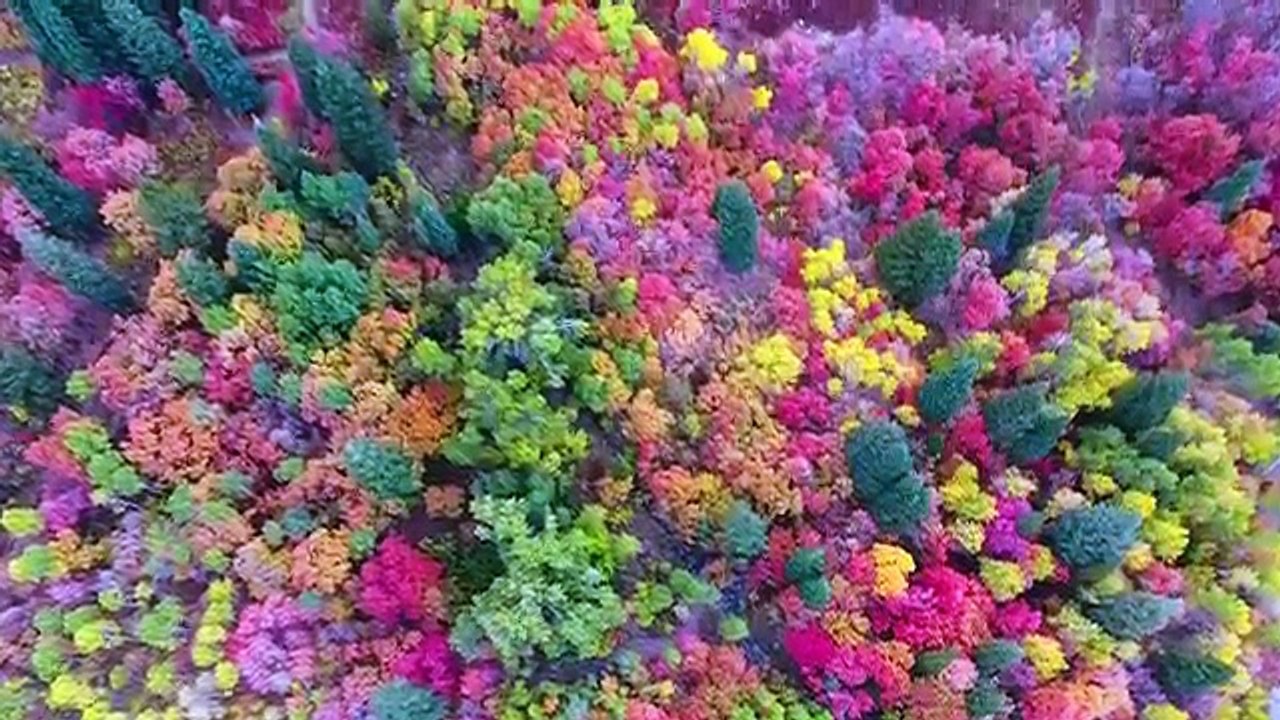 Magnifique vidéo des couleurs d'automne dans l'Utah