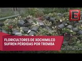 Lluvias afectan plantíos en Xochimilco