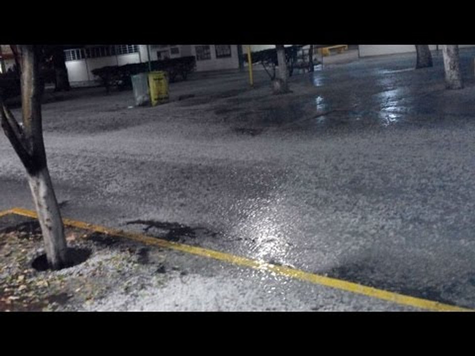 Lluvia y granizo en el DF provoca caída de árboles