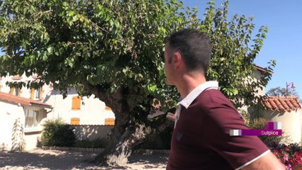 Sainte-Foy-Saint-Sulpice, la commune aux 42 étangs