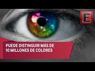 ¿Cuantos colores puede distinguir el ojo humano?