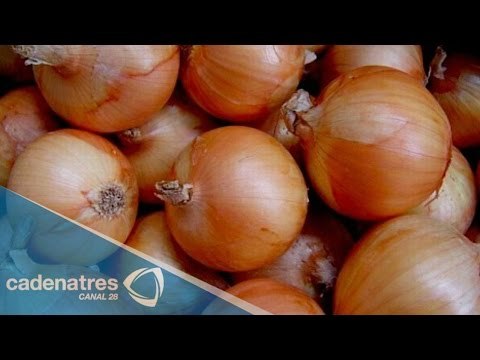 Cebollas rellenas con cocaína en Chile