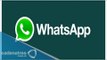 ¿Cómo activar las llamadas en Whatsapp?
