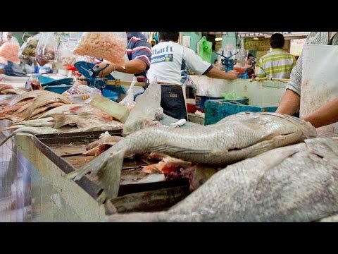 Pescados y mariscos, el menú para esta Cuaresma