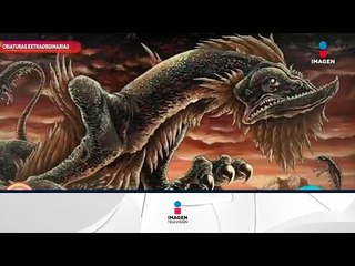 Criaturas extraordinarias: el basilisco | Sale el Sol