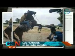 ¿Qué compartieron los famosos en redes sociales?