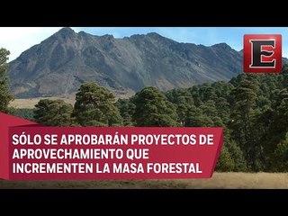 No se permitirá la tala de bosque en el Nevado de Toluca, asegura Semarnat