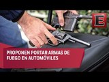 Tras asaltos, Senador del PAN propone el uso legal de armas de fuego