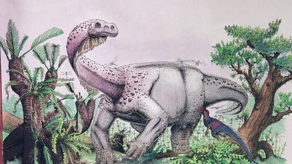 New dinosaur species discovered in South Africa