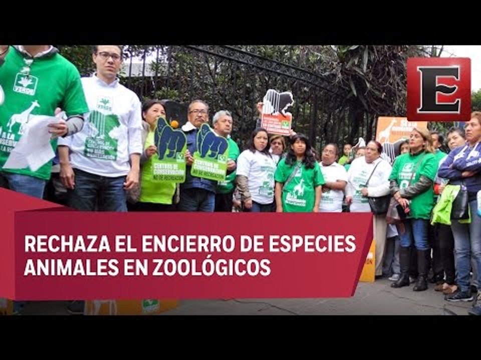 PVEM convoca a formar cadena humana en Chapultepec a favor de los animales