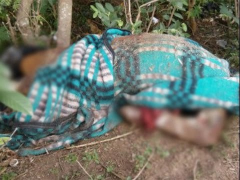 Hallan cuerpos desmembrados en Chilapa, Guerrero