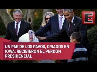 Último Día de Acción de Gracias de Obama al frente de EU