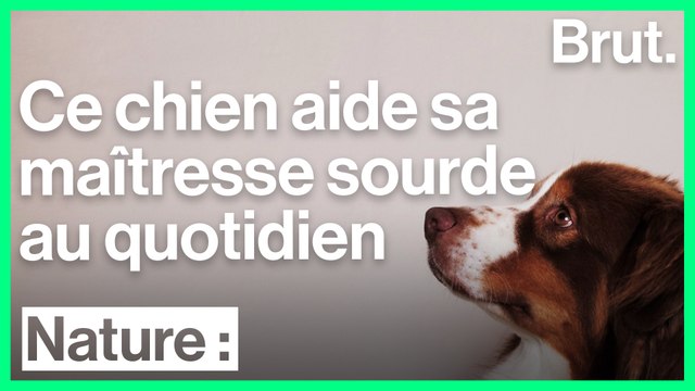 Interview avec Agathe sur l'aide que lui apporte son chien écouteur