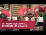 Protesta en la CDMX contra las corridas de toros