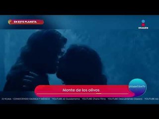 En este planeta: El Monte de los Olivos | Sale el Sol