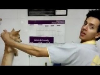 Indignación por el caso de maltrato animal en Hidalgo