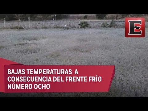 Heladas dañan cultivos en Oaxaca