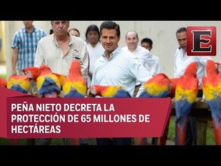 México ya tiene cuatro nuevas áreas naturales protegidas