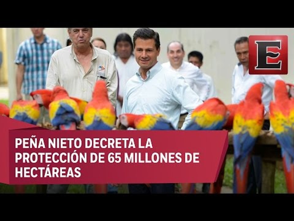 México ya tiene cuatro nuevas áreas naturales protegidas