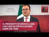Peña Nieto niega que Videgaray sea el presentante de México ante Trump