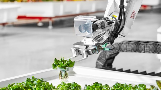 This farm, run entirely by robots, uses 90% less water than traditional farms
