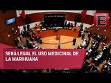 Senado aprueba modificaciones a la Ley General de Salud