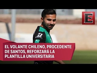 Bryan Rabello vestirá la camiseta de Pumas