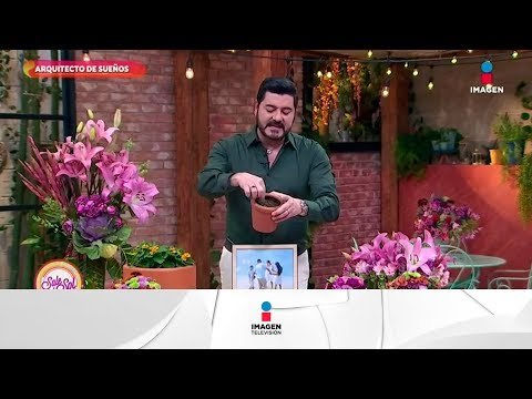 ¡El Arquitecto de sueños nos dice cómo aprovechar el equinoccio! | Sale el Sol