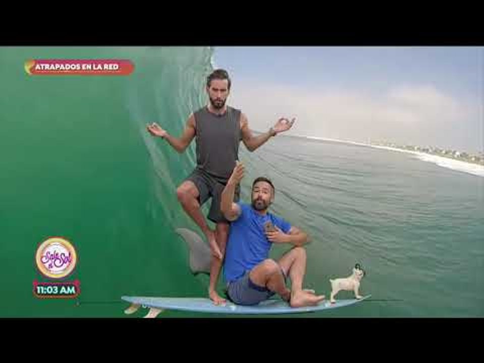 Atrapados en la red: los videos más divertidos de surf | Sale el Sol