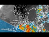 Tormenta 'Carlos' podría convertirse en huracán categoría uno: Servicio Meteorológico