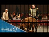 México: Entra en vigor la prohibición de animales en circos