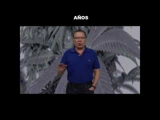 '¡Qué bueno! Aprobaron el uso medicinal de la mariguana', en opinión de Jorge Fernández Menéndez