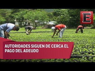 Adeudan a jornaleros explotados más de 800 mil pesos