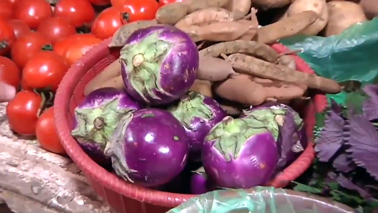 Planeta del viaje   Travel Planet  - Hanói  (la capital de Vietnam) _
