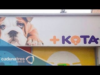 Cierran en Hidalgo tienda +Kota por maltrato animal