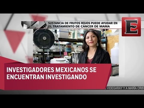 Consumir frutos rojos puede ayudar a prevenir el cáncer