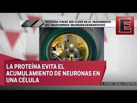 Encuentran proteína para tratar trastornos degenerativos