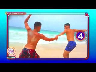 Atrapados en la red: los videos de peleas más graciosos | Sale el Sol