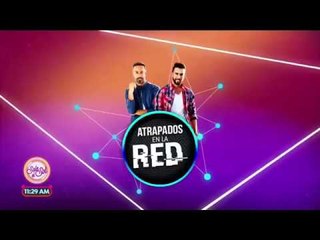 Atrapados en la red: ¡los videos más divertidos del cine! | Sale el Sol