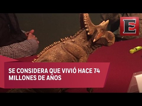 Paleontólogos presentan en Coahuila una nueva especie de dinosaurio