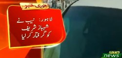 NAB Arrested Shehbaz Sharif in Ashiana Housing Scandal PMLN Today Breaking News  Today News Updates