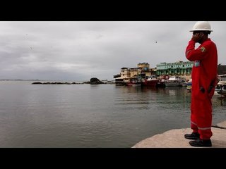 La caída del precio del petróleo en Brasil