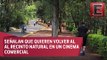 Denuncian tala masiva de árboles en Bosque de Tlalpan