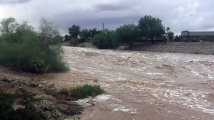 Mass Flash Flooding in Yuma Arizona