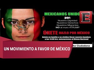 Laura Herrejón: Marcha ciudadana "Mexicanos Unidos"