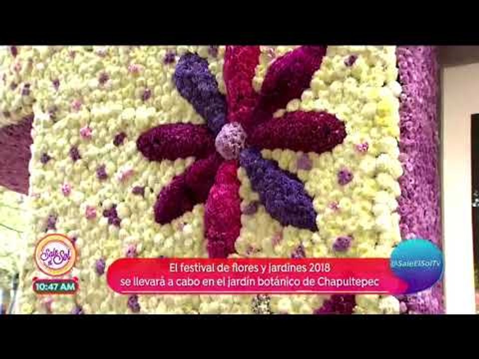 ¡Masaryk se llena con más de 10 mil tipos de flores! | Sale el Sol