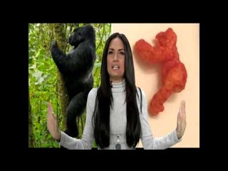 '99 mil 900 dólares por un cheeto similar al gorila Harambe', en opinión de Joanna Vega-Biestro