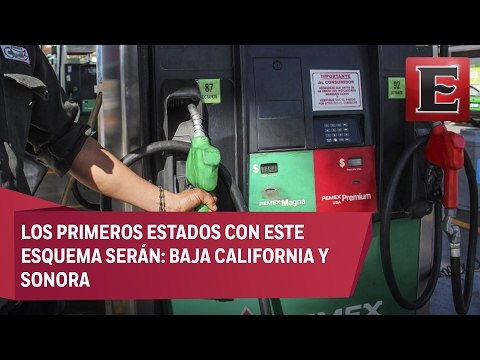 Los precios de las gasolinas podrían ajustarse cada hora