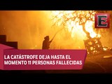 Más de 18 mil brigadistas combaten incendios forestales en Chile